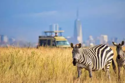 10 Most Famous Safari Animals In The World 3