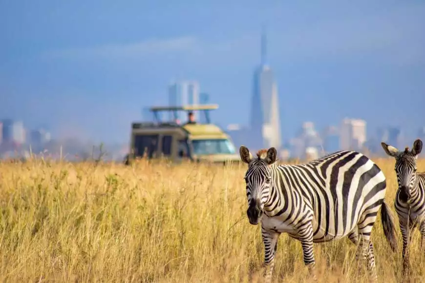 10 Most Famous Safari Animals In The World 1