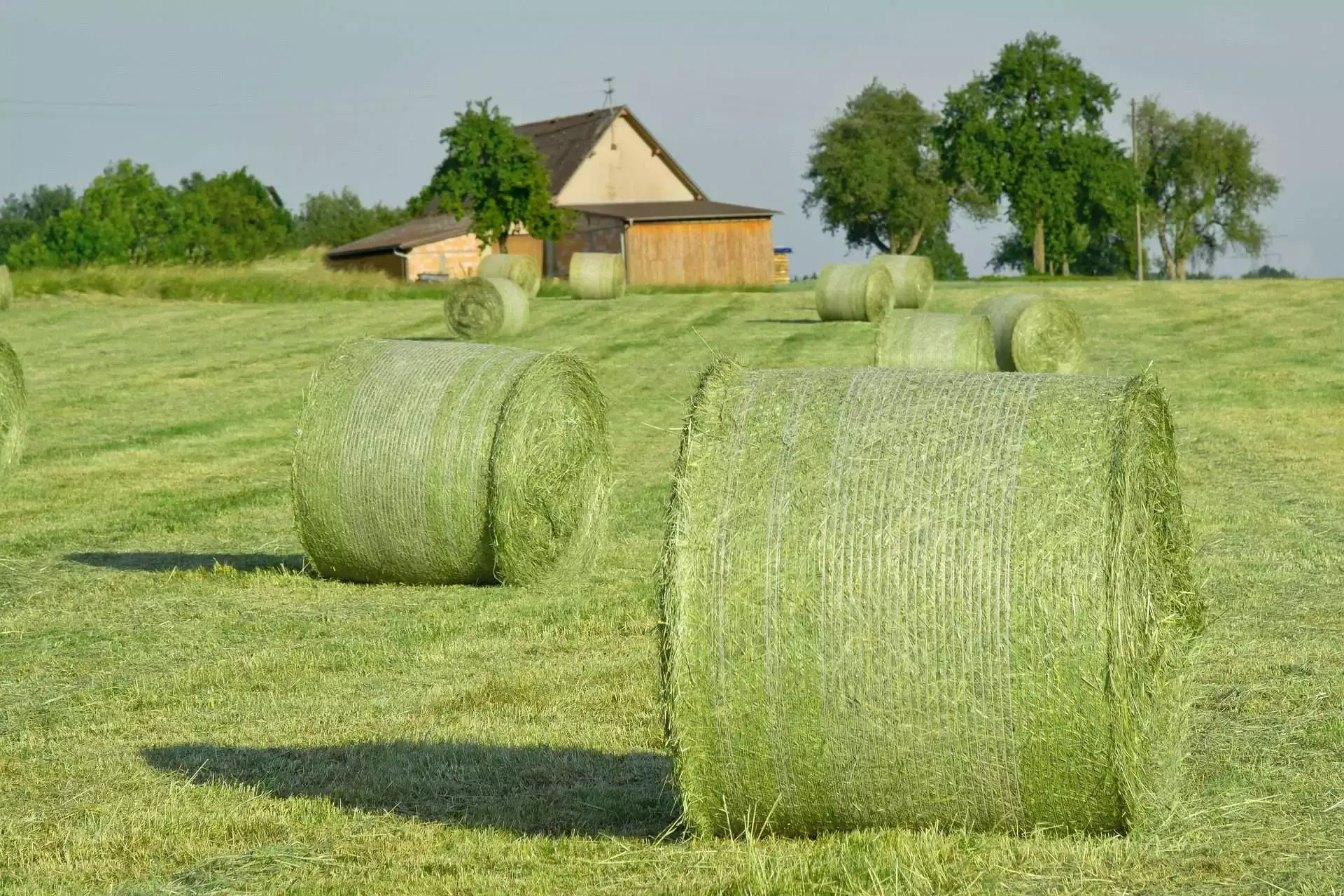 Things to do in Vermon: 15 amazing best things 9 things to do in vermon