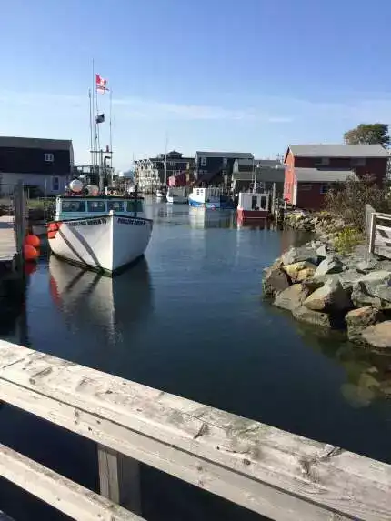 fun things to do in halifax