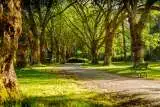 Vancouver's Stanley Park