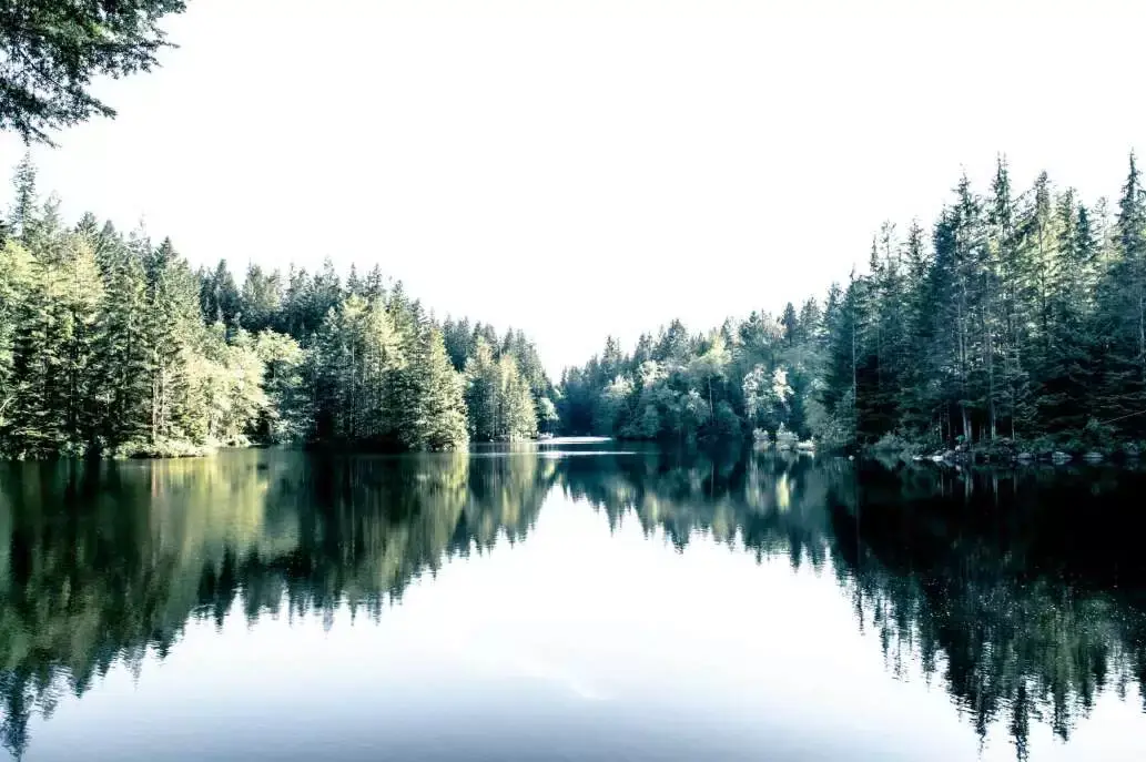 North Vancouver - 12 Most Exciting Places! 17 rice lake
