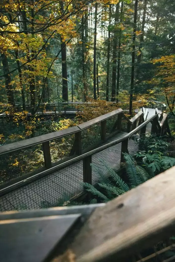 North Vancouver - 12 Most Exciting Places! 9 Capilano Suspension Bridge