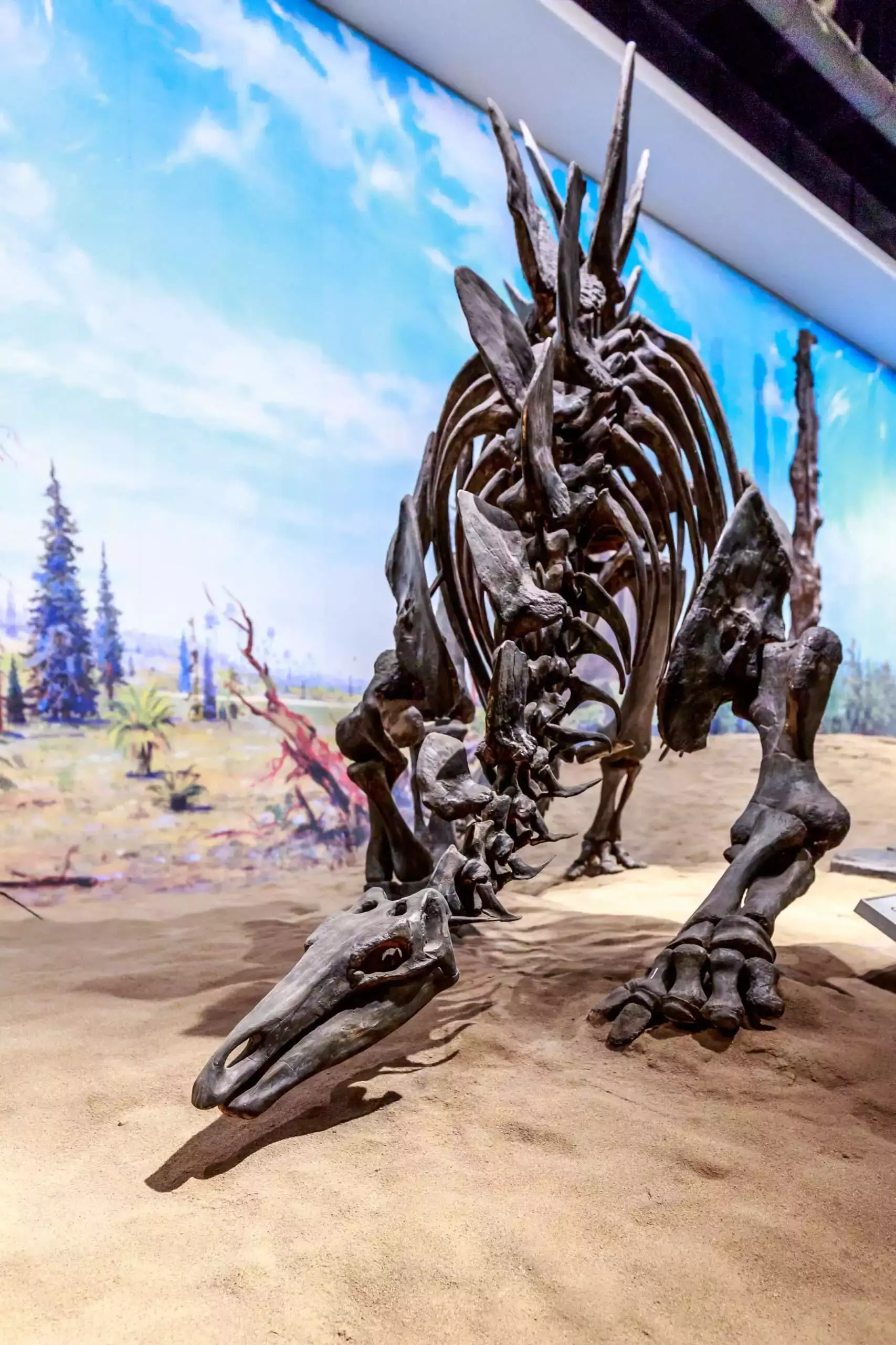 Royal Tyrrell Museum: 9 Amazing Things You Need To Know 7 Royal Tyrrell Museum