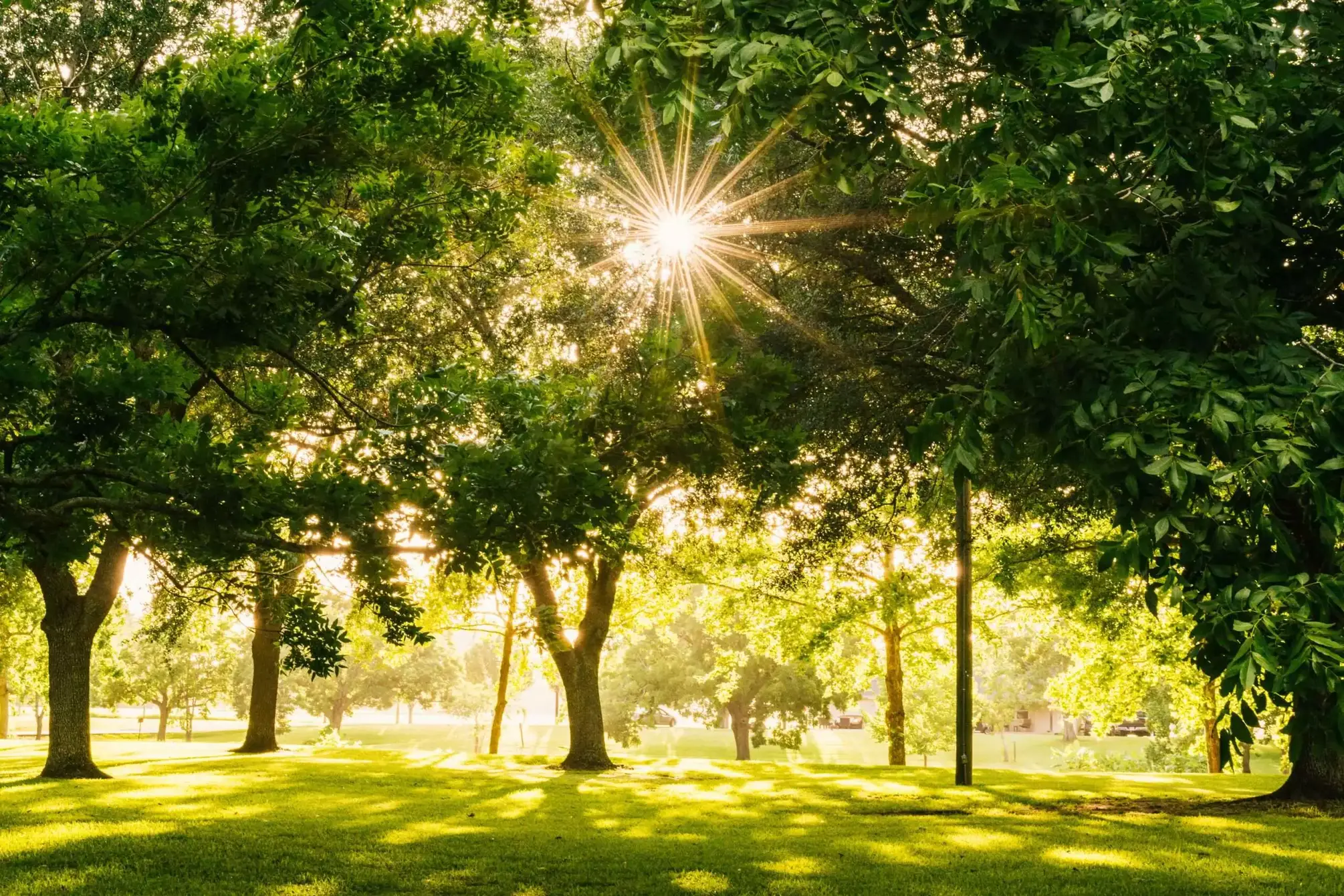 18 Exciting and Fun Things To Do In Ottawa You Can Do 9 Park