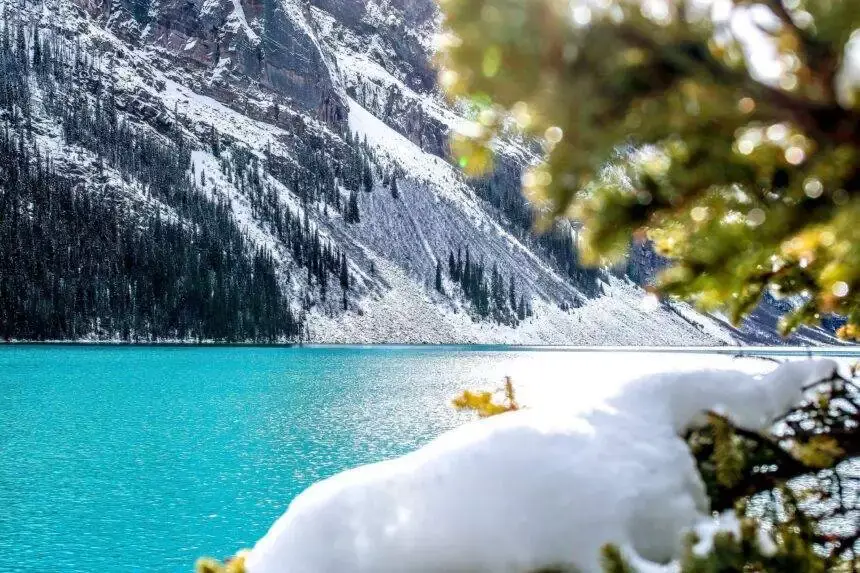 louise lake