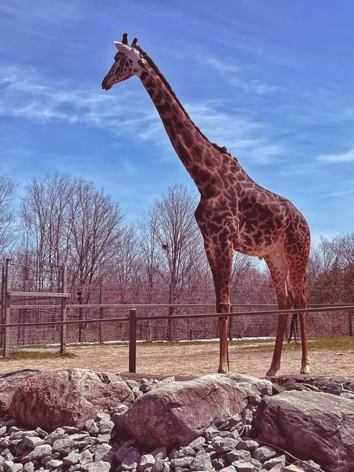 10 Most Amazing Toronto Tourist Attractions 10 toronto tourist attractions