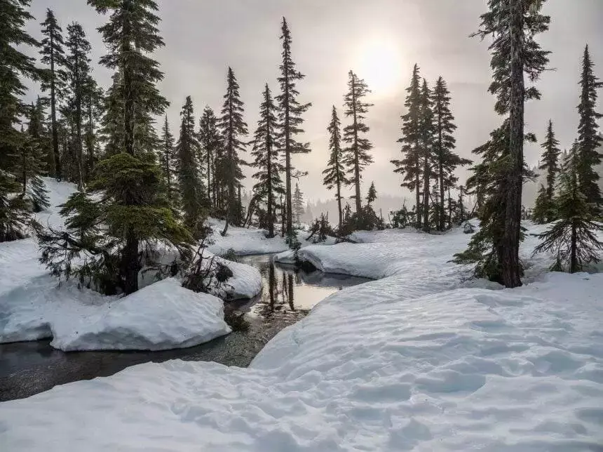 Northmost city in canada