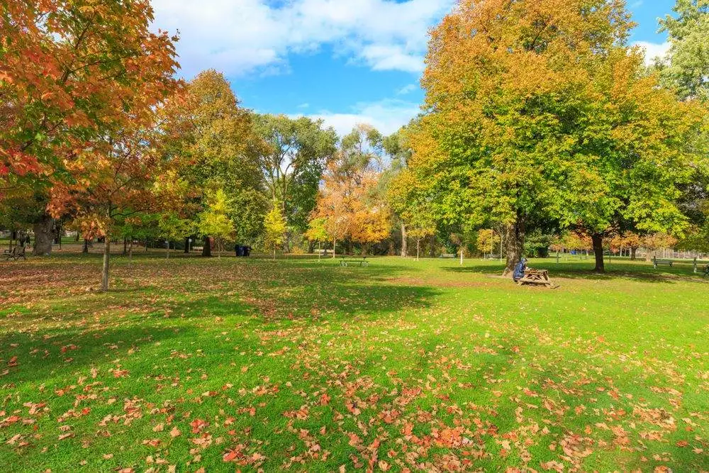 10 best parks in Toronto