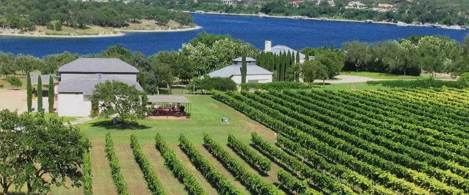 Stonehouse Vineyard: Perfect Winery in 7 Must Know Points 7 Stonehouse Vineyard