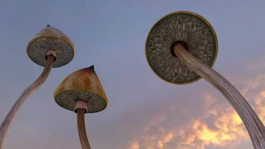 Are Magic Mushrooms legal in Canada